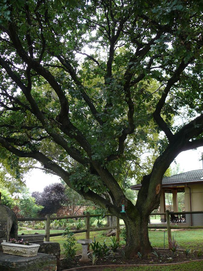 42Onking Bed & Breakfast Centurion Dış mekan fotoğraf
